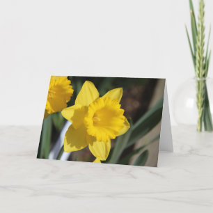 Sunny Daffodil Kort
