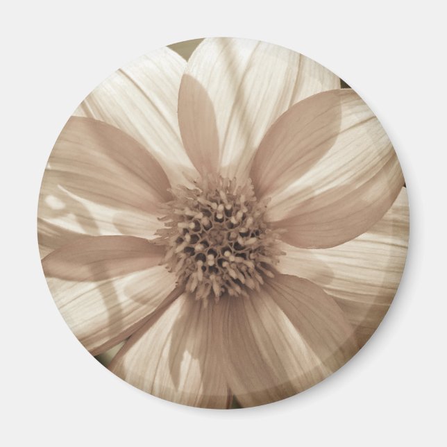 Sunny Dahlia Magnet (Framsidan)