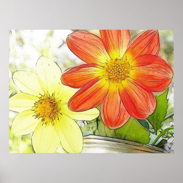 Sunny Dahlias Poster (Framsidan)