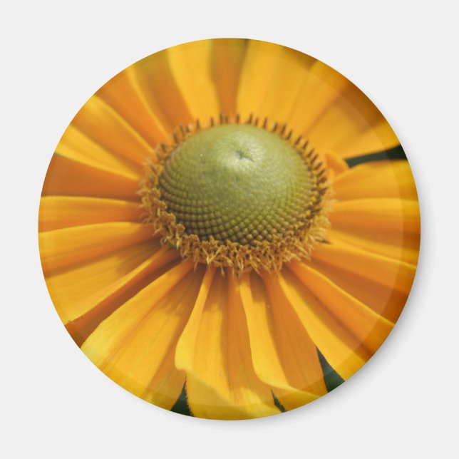 Sunny Day Gult Gerbera Button Magnet (Framsidan)