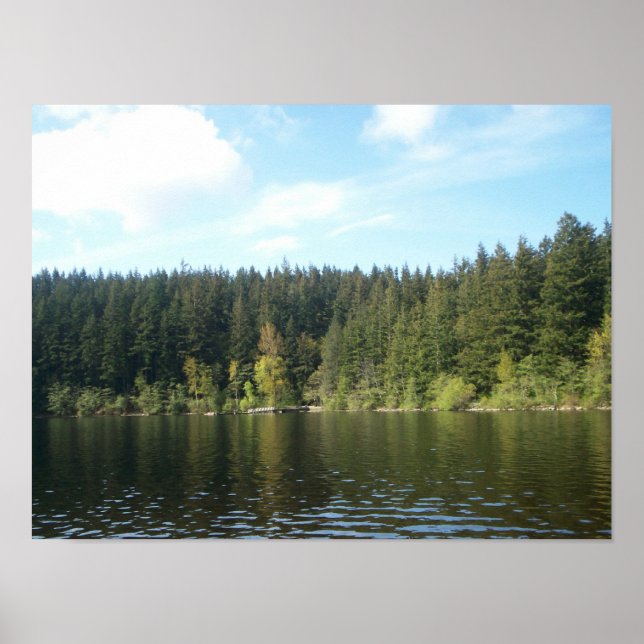 Sunny Day i Sjö Padden Poster (Framsidan)