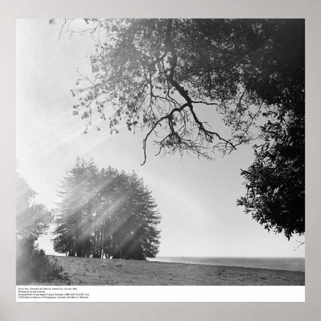 Sunny Day, Universiteten i Kalifornien, Santa Cruz Poster (Framsidan)
