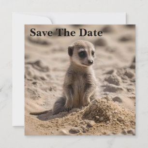 "Sunny Days: Baby Meerkats Beach Äventyr" Spara Datumet