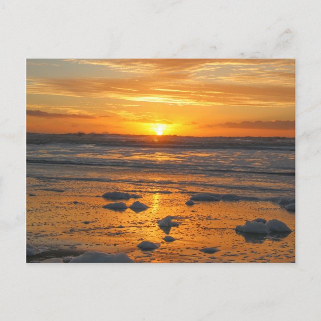 Sunny Days Vykort (Framsida)