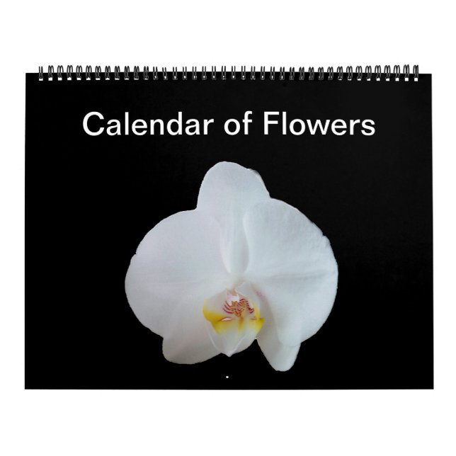 Sunny Daze Photo Calendar of Flowers Kalender (Omslag)