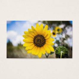 Sunny Daze Visitkort