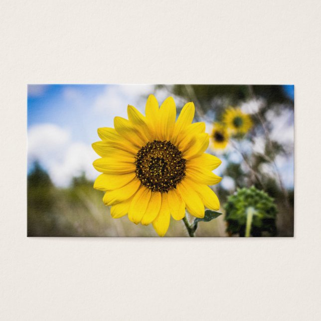 Sunny Daze Visitkort (Framsidan)