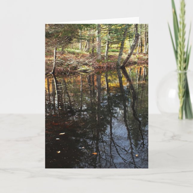 "Sunny Fall Day" Adirondack Forest och Träd Scene Kort (Framsida)