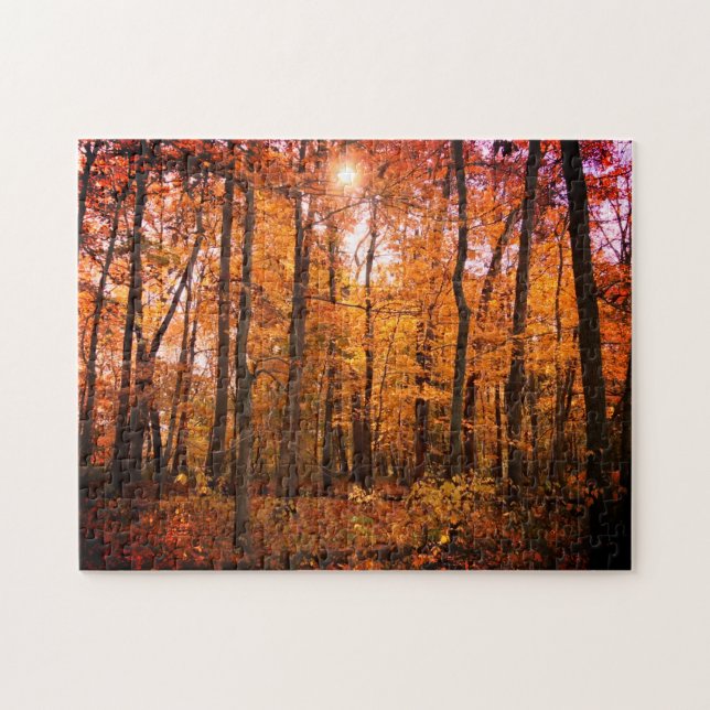 Sunny Fall Skogen Pussel (Horisontell)