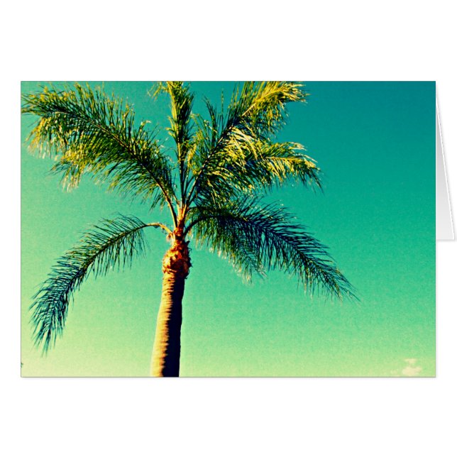 Sunny Florida Handflatan Träd Himlar Bild Hälsningskort (Framsidan Horizontal)