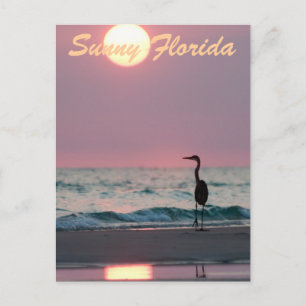 Sunny Florida Vykort