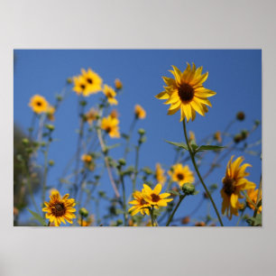 ’Sunny Flowers’ Poster
