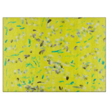 Sunny flygplansstyrelse