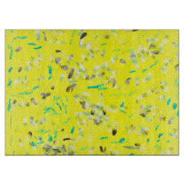 Sunny flygplansstyrelse