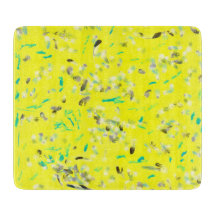 Sunny flygplansstyrelse