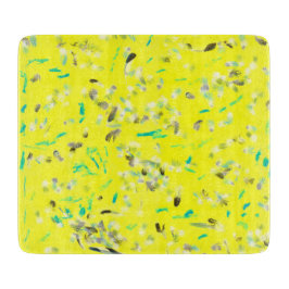 Sunny flygplansstyrelse