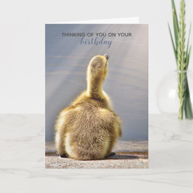 Sunny födelsedagskort Önskemål Kort (Framsida)