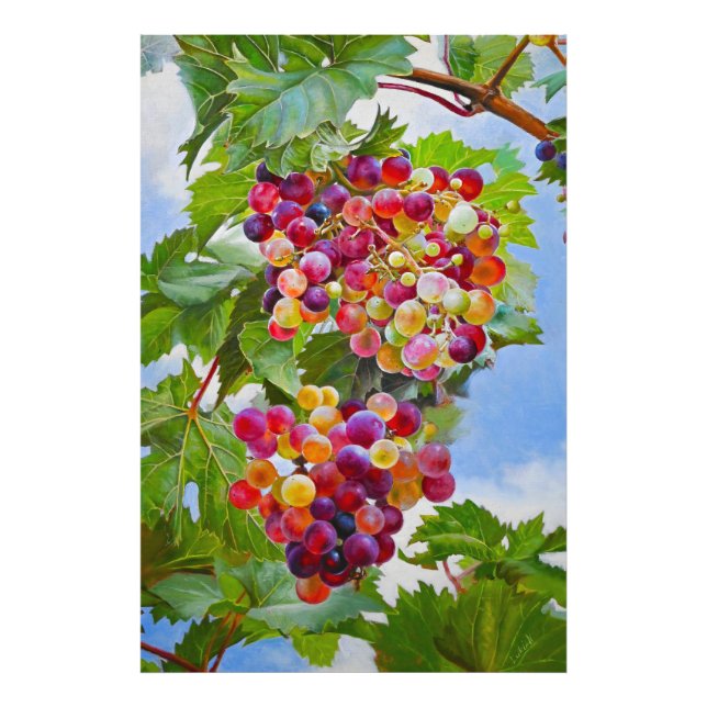 Sunny Grapevine - Colorful Graphics still Life Pai Fototryck (Framsidan)