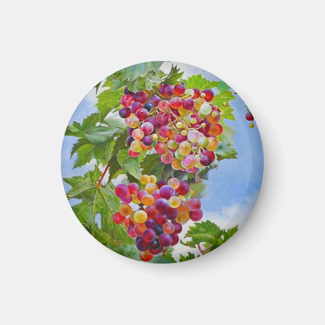 Sunny Grapevine - Colorful Graphics still Life Pai Magnet (Framsidan)