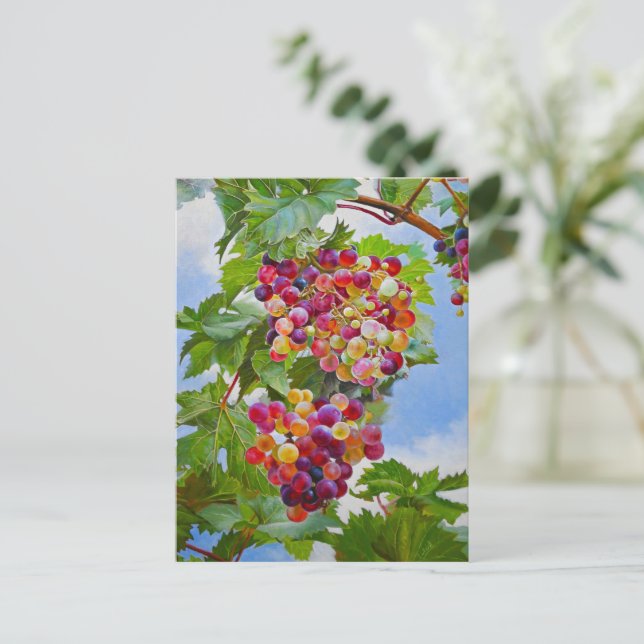 Sunny Grapevine - Colorful Graphics still Life Pai Vykort (Stående Fram)
