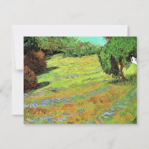 Sunny Gräsmatta i en offentlig park av Vincent van