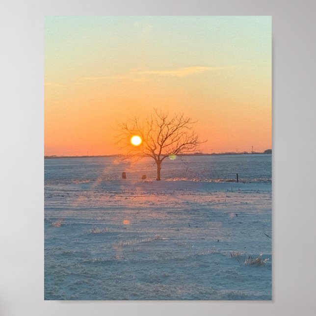 Sunny Graves Poster (Framsidan)