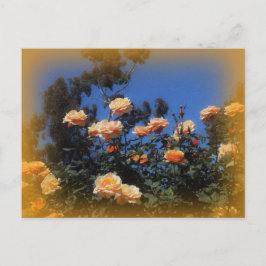 Sunny Gul ros vykort