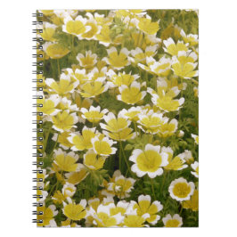 Sunny Guld White Flowers Anteckningsbok Med Spiral