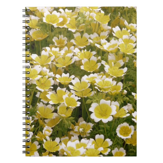 Sunny Guld White Flowers Anteckningsbok Med Spiral (Framsidan)