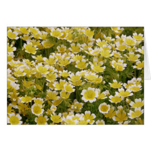 Sunny Guld White Flowers Hälsningskort