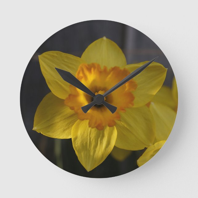 Sunny Gult Daffodil Rund Klocka (Framsida)