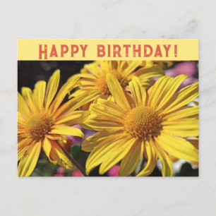 Sunny Gult/Gult Chrysanthemum/Grattis på födelseda Helg Vykort