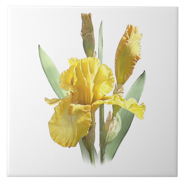 Sunny Gult Iris Flower Botanical Art Kakelplatta (Framsidan)