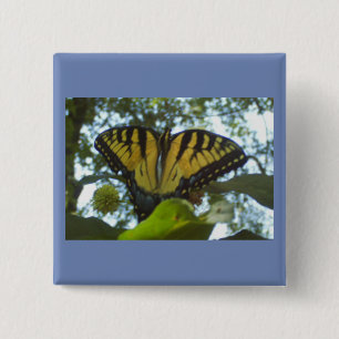 Sunny Gult Monarch Knapp