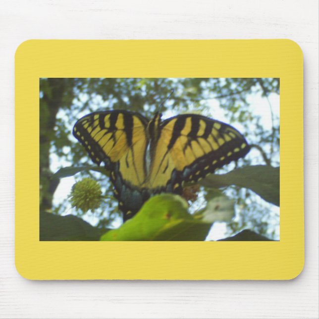 Sunny Gult Monarch Musmatta (Framsidan)