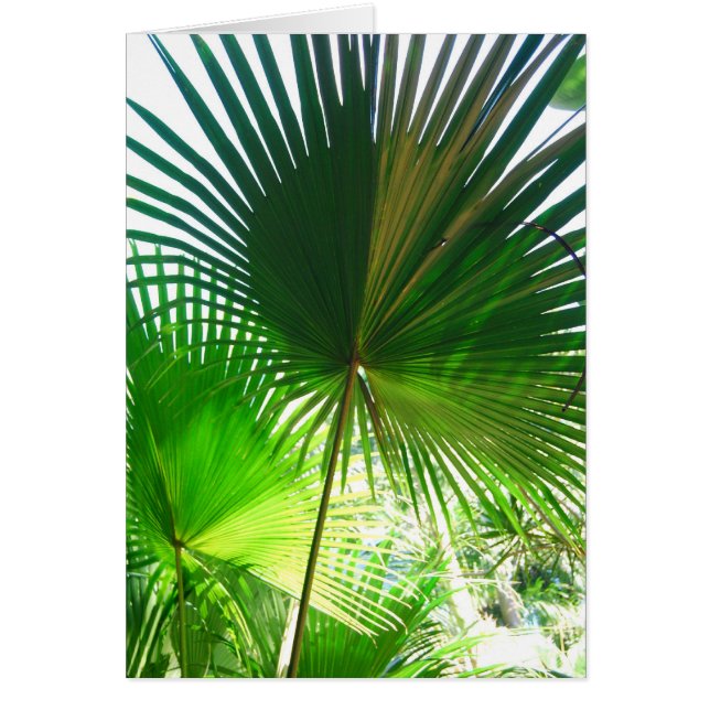 Sunny Handflatan Hälsningskort (Framsidan)