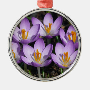 Sunny Lila Crocuses Julgransprydnad Metall