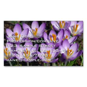 Sunny Lila Crocuses Magnetiska Visitkort