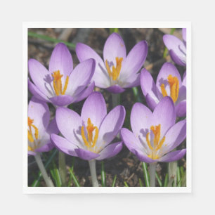 Sunny Lila Crocuses Pappersservett
