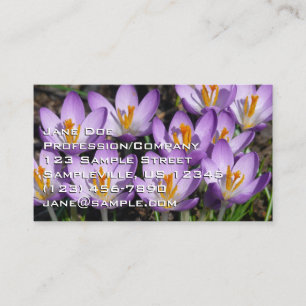 Sunny Lila Crocuses Visitkort