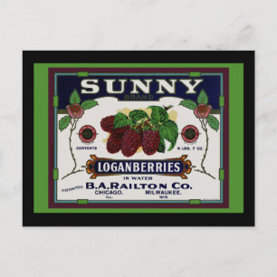 Sunny Loganberry Fruit Vykort
