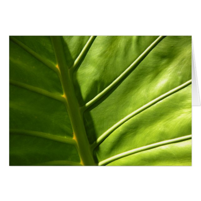 Sunny Löv-kort Hälsningskort (Framsidan Horizontal)