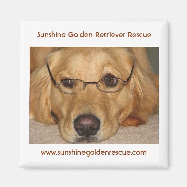 Sunny Magnet - Sunshine Golden Retriever Rädding.. (Framsidan)