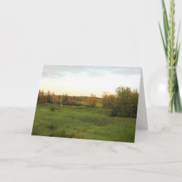 Sunny Meadow Kort