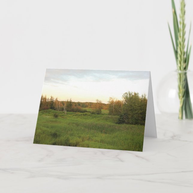 Sunny Meadow Kort (Framsida)