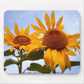 "Sunny" Musmatta