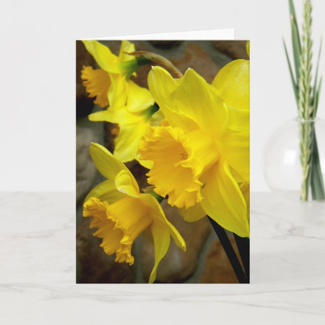 Sunny Petals Kort (Framsida)