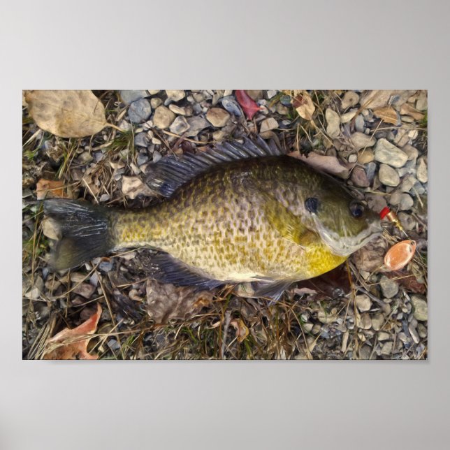 Sunny Poster (Framsidan)