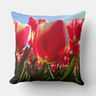Sunny Red Tulips Close Dekorativ kudde