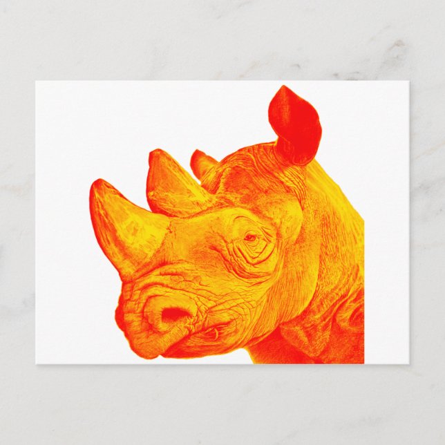 SUNNY RHINO VYKORT (Framsida)